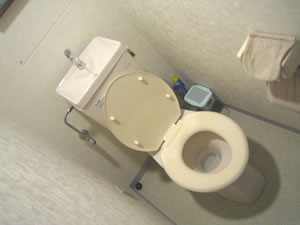 イメージ：トイレ、便所の清掃、ハウスクリーニング